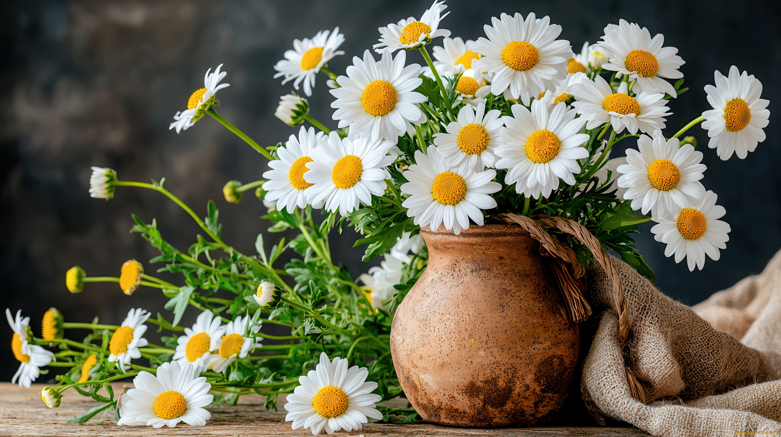 3� �������, ����� , flowers, ���������, ������, �������